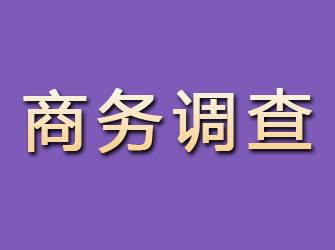 新建商务调查